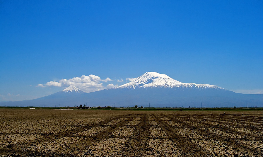 Ararat