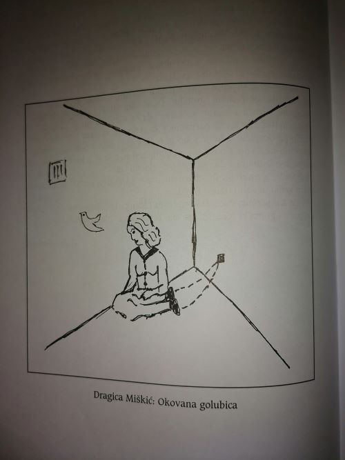 Okovana golubica Miškić