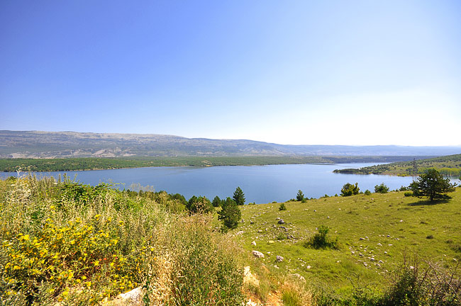 1d_sinj