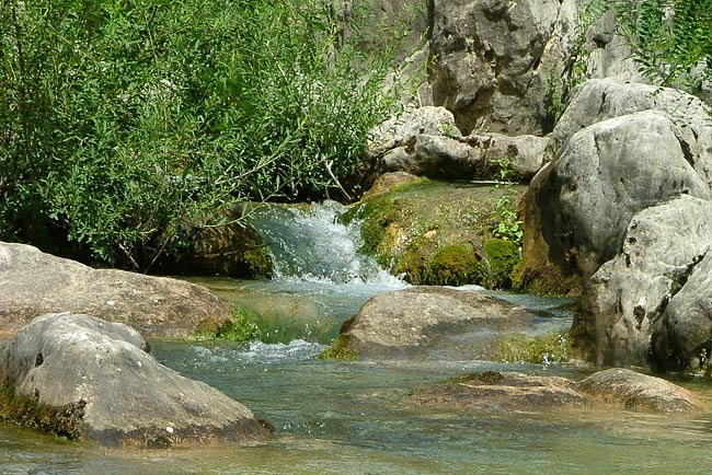 28_Cetina