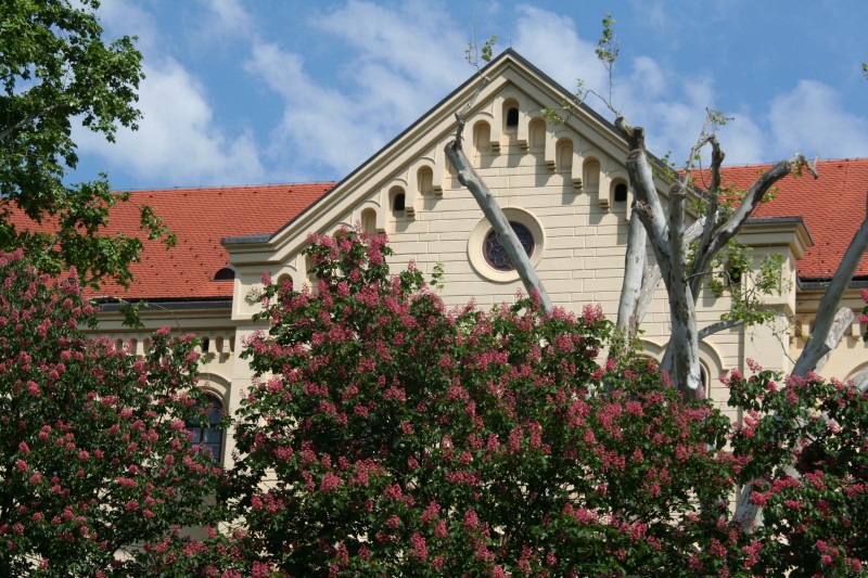 Krug za trg prosvjed