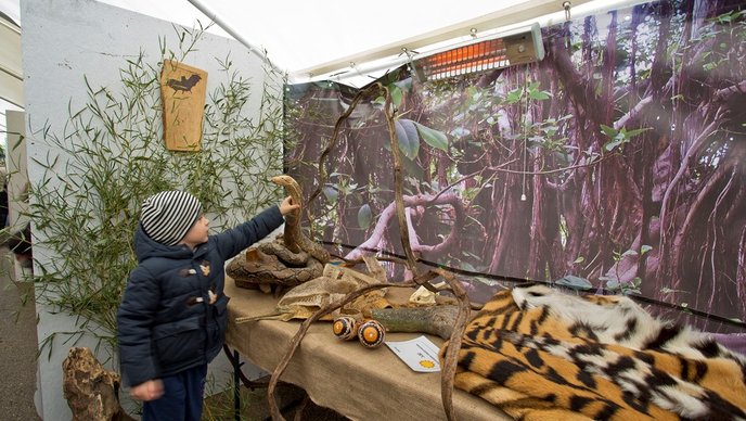 Zima oko svijeta 1 .jpg.688x388 q85 crop upscale