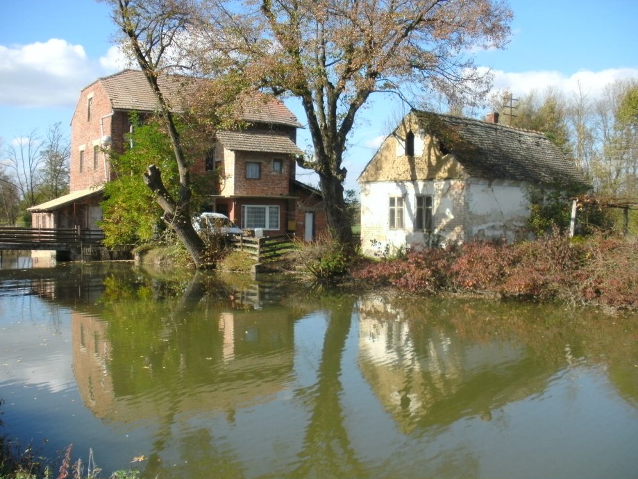 Tos Piljenice