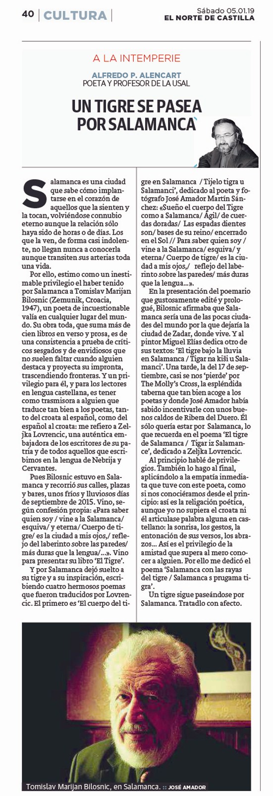 3. Un tigre se pasea por Salamanca El Norte de Castilla