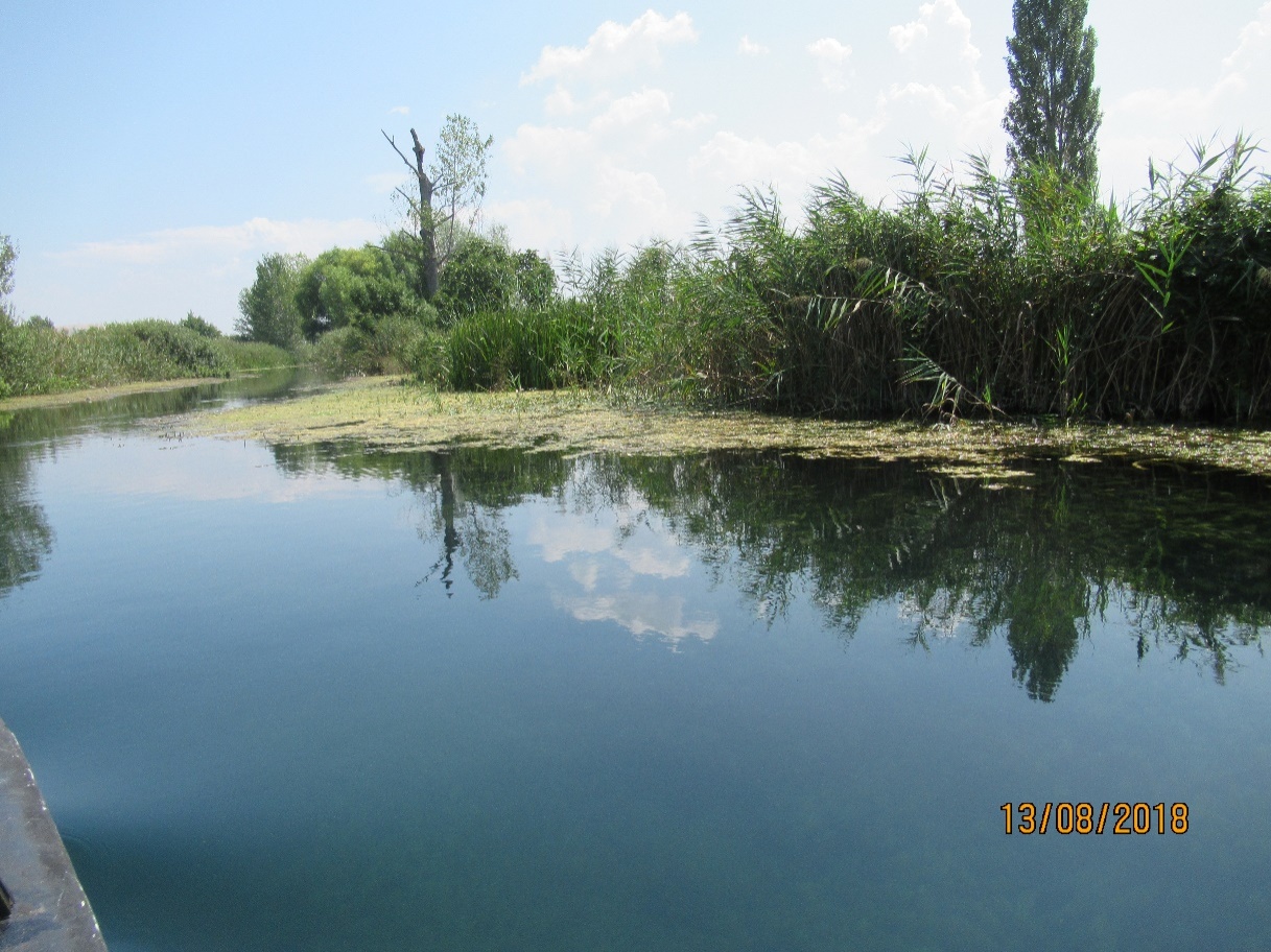 Neretva28