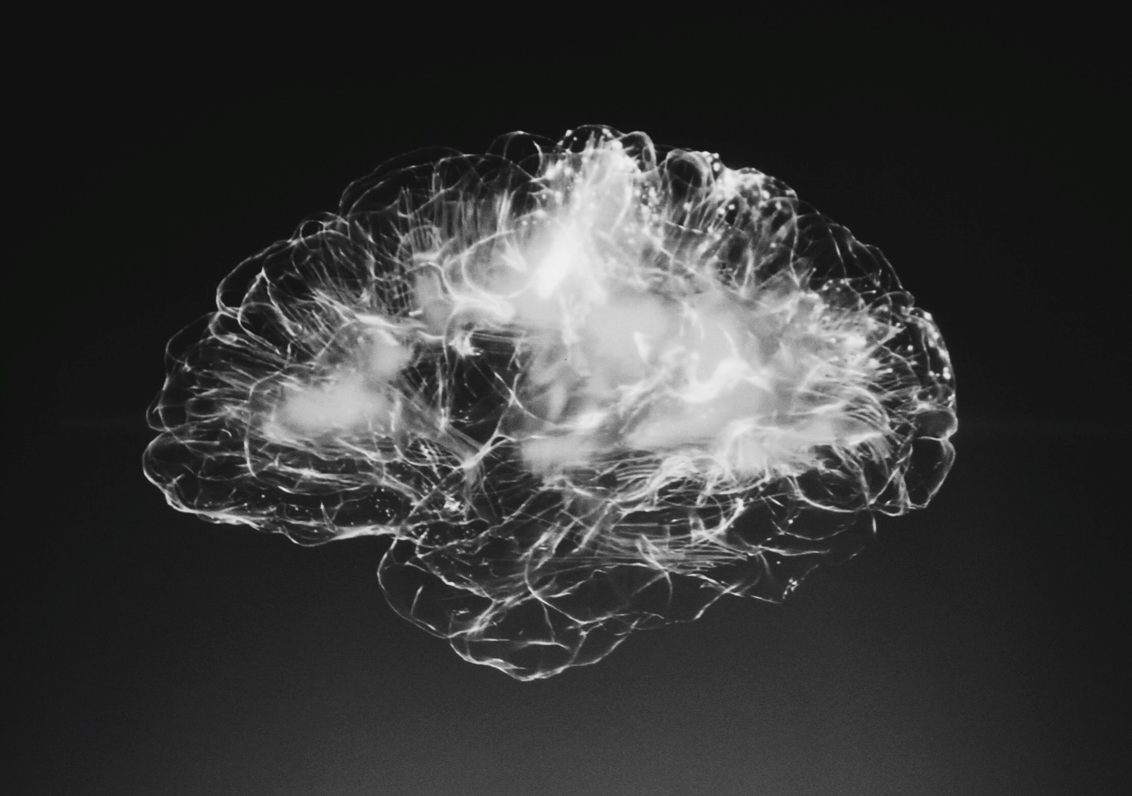 alina grubnyak tEVGmMaPFXk unsplash