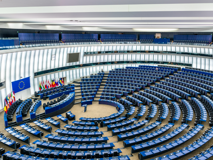 Europski parlament25