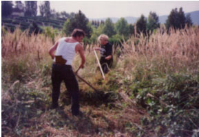 Hrvatska pozadinska fronta