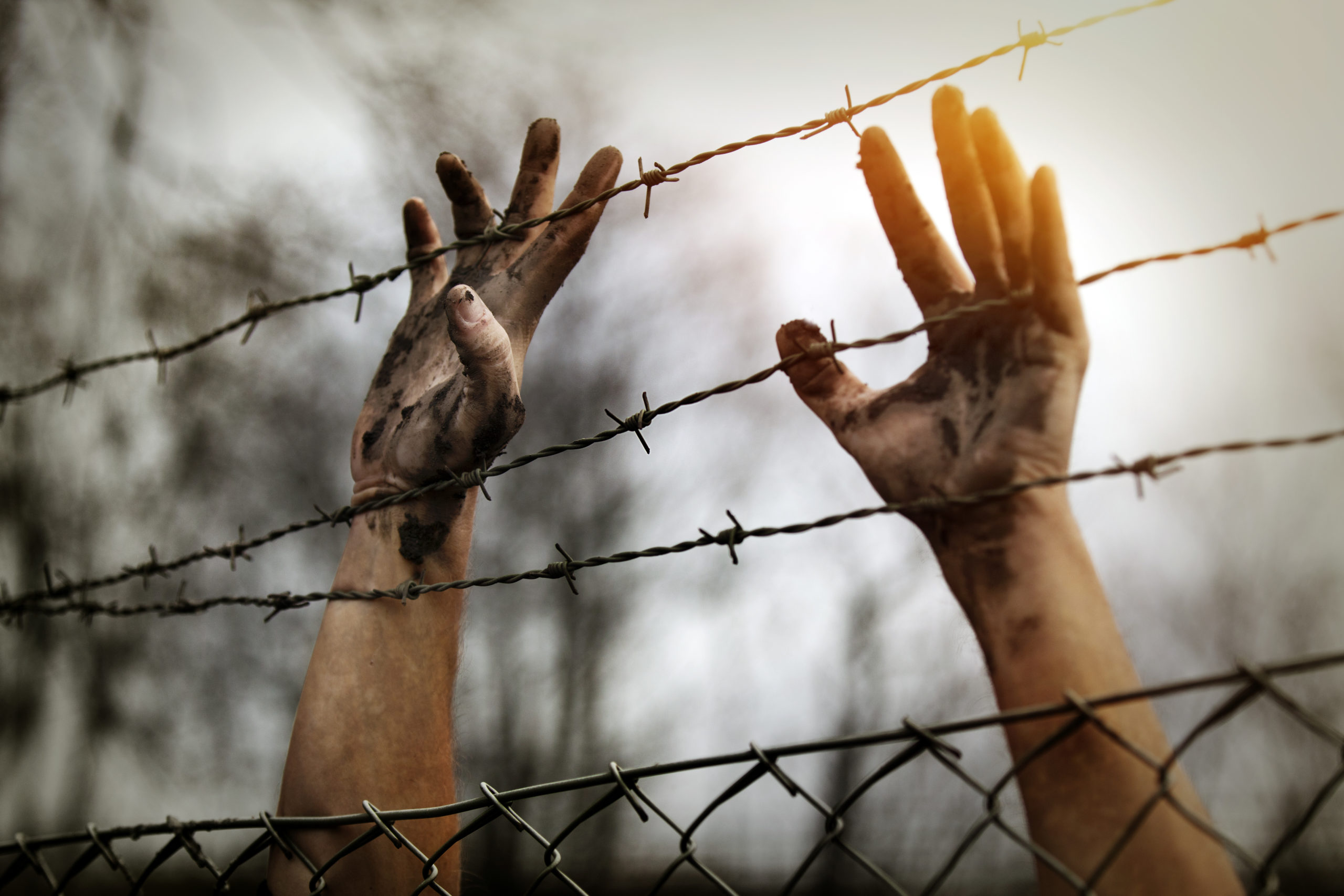 prisonercamp wire