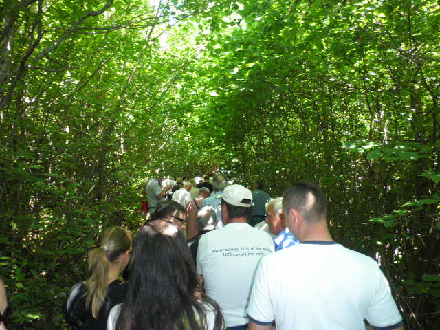 Jazovka 22. 6. 2011.