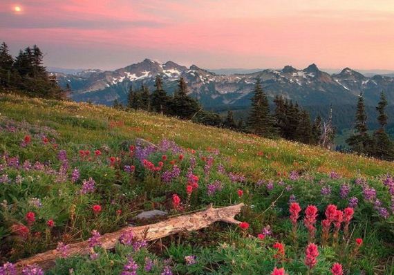 Polje - zalazak - prekrasan svijet - planet zemlja