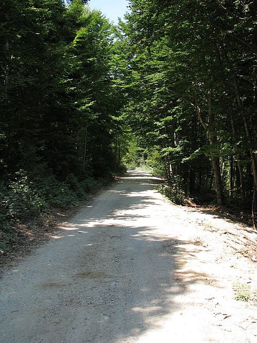 3--Pupovac Jadovno